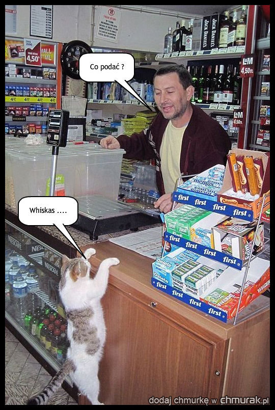 Twój kot kupowałby ....