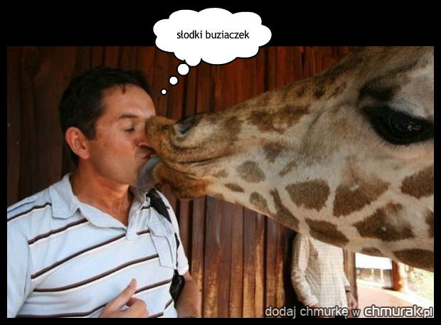 buziak od żyrafki