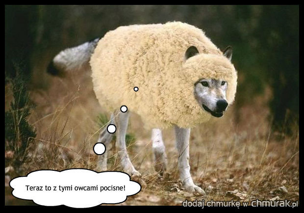 Z cyklu: awięc wiec owiec zjedz i to wiedz!
