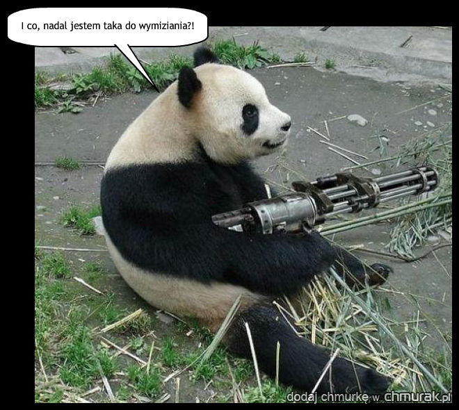 Słodka panda?