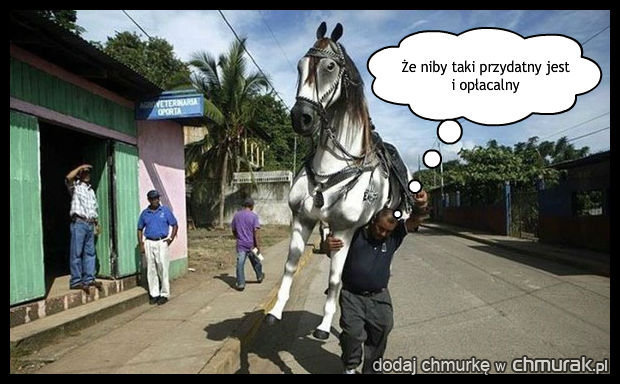 \"Kup konia\" mówili...