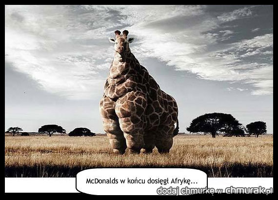 McDonalds w końcu dosięgł Afrykę...