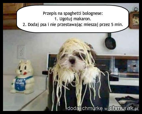 Przepis na spaghetti bolognese: 1. Ugotuj makaron. 2. Dodaj psa i nie przestawając mieszaj przez 5 min.
