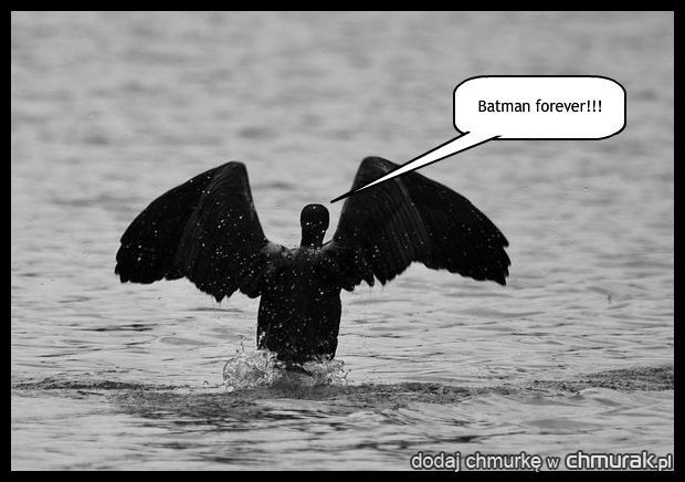 batman...
