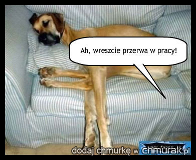 Przerwa w pracy.