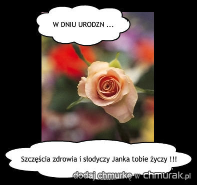 W DNIU URODZIN...