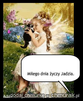 * * Dzień dobry,* *