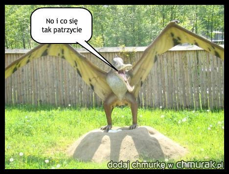 pterodaktyl