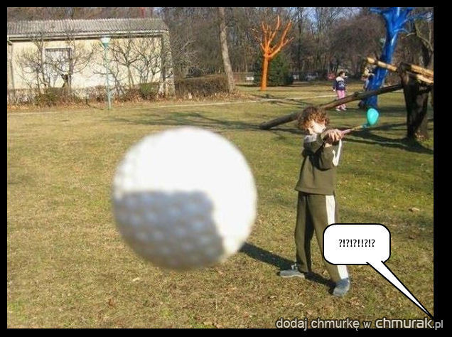 piłka golfowa  w oko